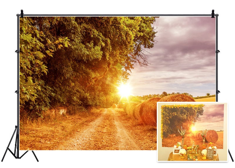 Leyiyi 7x5ft Photography Background Haystock Backdrop Thanksgiving Day Western Town Farmland Agriculture Sunset Piles Countryside Harvest Autumn Woodland Trees Cowboy Photo Portrait Vinyl Studio Prop - Image 1